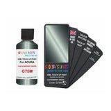 Paint For Acura Legend Canterberry Green Code G75M Touch Up Scratch Stone Chip Repair - Touch Up Paint 25ml Bottle