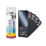 BMW 310 FJORD GREY Direct Gloss Aerosol