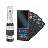 BMW 303 COSMOS BLACK Touch Up Paint