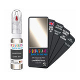 BMW 301 CASHMERE BEIGE Touch Up Paint