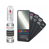 BMW WS58 AVENTURIN SILVER Touch Up Paint