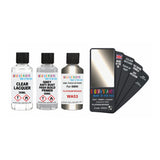 BMW WA53 PLATINUM BRONZE Touch Up Paint + Primer + Lacquer
