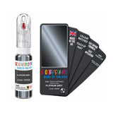 BMW WA68 PLATINUM GREY Touch Up Paint