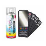 BMW WC08 PLATINUM SILVER Direct Gloss Aerosol