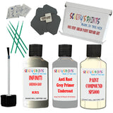 Infiniti Greenish Gray Car Detailing And Polish Finsih Kit