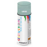 Mixed Paint For Rover A60 Cambridge Island Green Aerosol Spray A2