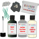 Jaguar Epsom Green Car Detailing Paint and polish finishing kit