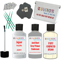 Jaguar Yulong White Car Detailing Paint and polish finishing kit