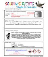 Instructions for use Jaguar Zermatt Silver Car Paint