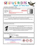 Instructions for use Jaguar Zermatt Silver Car Paint