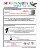 Instructions for use Kia Bright Silver Car Paint