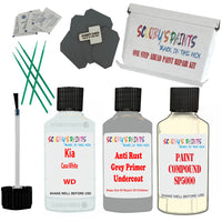 Kia Casa White Car Detailing Paint and polish finishing kit