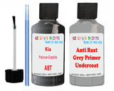 Kia Platinum Graphite Car Paint