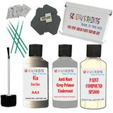 Kia Sirius Silver Car Detailing Paint and polish finishing kit