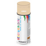 Mixed Paint For Rover A60 Cambridge Laguna Beige Aerosol Spray A2