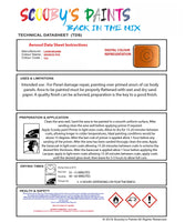 Instructions For Use Lamborghini Urus Arancio Fux Car Paint