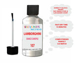 Instructions for Use Lamborghini Huracan White Touch Up Paint