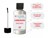 Instructions for Use Lamborghini Aventador White Touch Up Paint