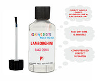 Instructions for Use Lamborghini Gallardo White Touch Up Paint