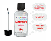 Instructions for Use Lamborghini Urus White Touch Up Paint