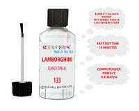 Instructions for Use Lamborghini Other Models White Touch Up Paint