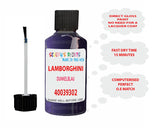 Instructions for Use Lamborghini Other Models Blue Touch Up Paint