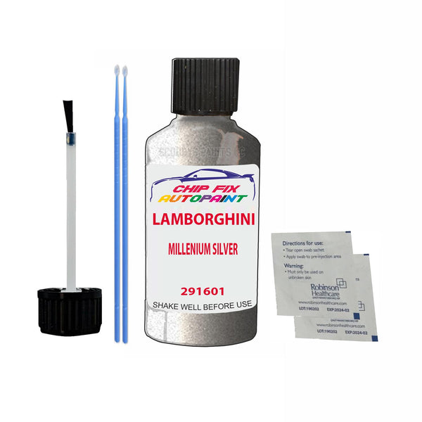 Lamborghini Other Models Millenium Silver Touch Up Paint Code 291601 Scratch Repair Paint