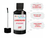 Instructions for Use Lamborghini Urus Black Touch Up Paint