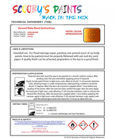 Instructions For Use Lamborghini Other Models Orange Car Paint