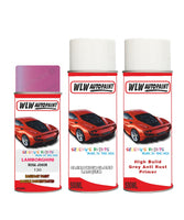 Lamborghini Other Models Rosa Johor Complete Aerosol Kit With Primer And Lacquer