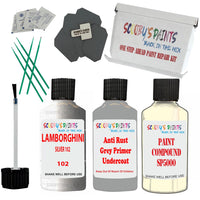 Lamborghini Silver 102 Car Detailing Paint And Polish Finish Kit