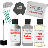 Lamborghini Silver Car Detailing Paint And Polish Finish Kit