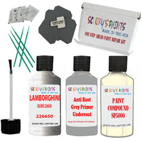 Lamborghini Silver 226650 Car Detailing Paint And Polish Finish Kit