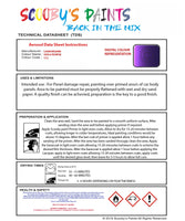 Instructions For Use Lamborghini Aventador Viola Pasifae Car Paint