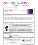 Instructions For Use Lamborghini Aventador Viola Pasifae Car Paint