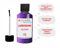 Instructions for Use Lamborghini Urus Violet-Purple Touch Up Paint