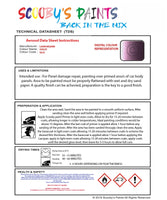 Instructions For Use Lamborghini Other Models Violet Car Paint