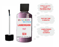 Instructions for Use Lamborghini Other Models Violet-Purple Touch Up Paint