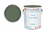 Mixed Paint For Morris Mini, Leaf Green, Code: Gn15, Green