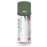 Mixed Paint For Austin A60/Cambrige/A55 Ii Leaf Green Aerosol Spray A2