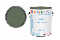 Mixed Paint For Austin Mini, Leaf Green, Code: Gn15, Green