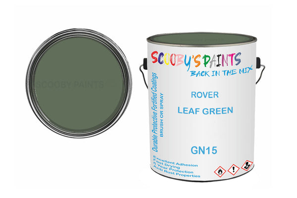 Mixed Paint For Rover A60 Cambridge, Leaf Green, Code: Gn15, Green