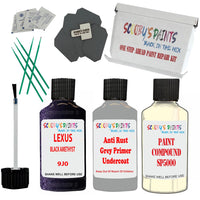 Lexus Black Amethyst Car Detailing Paint And Polish Finish Kit