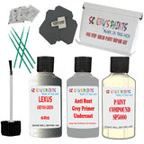 Lexus Greyish Green Car Detailing Paint And Polish Finish Kit