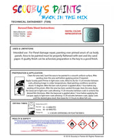 Instructions For  Use Lotus Other Models Aqua Blue Car Paint
