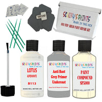 Lotus Aspen White Car Detailing Paint And Polish Finish Kit