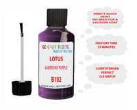 Lotus Elise Aubergine Purple Paint Code B102