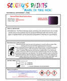 Instructions For  Use Lotus Elise Aubergine Purple Car Paint