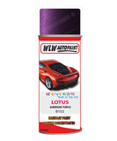 Lotus Aubergine Purple Aerosol Spray Paint Code B102 Basecoat Spray Paint