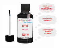 Lotus Elise Black Flat Paint Code Bu0119